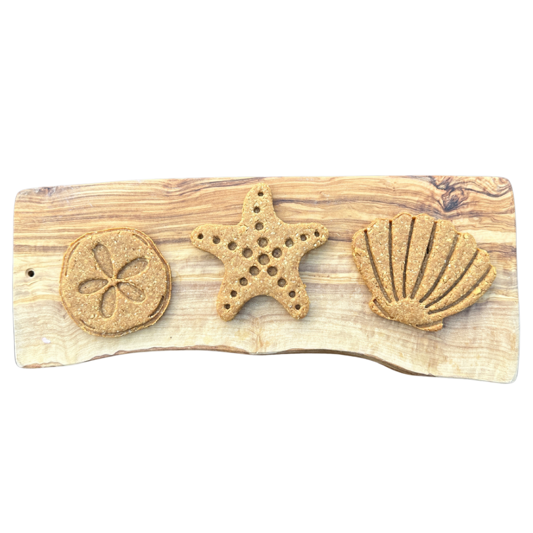 Beachy Bites